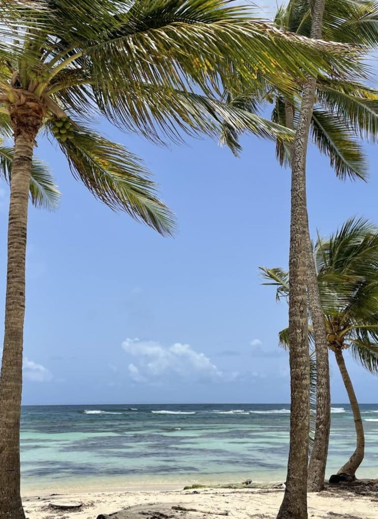 1 Guadeloupe - Quimper Brest