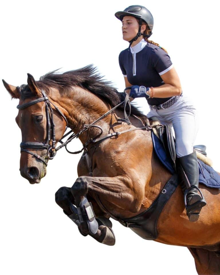 equitation - Quimper Brest